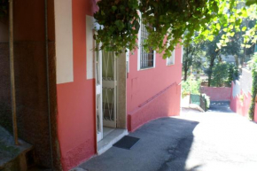 Casa V